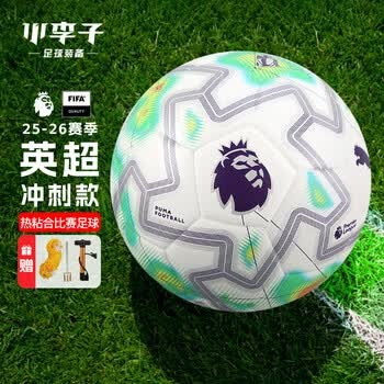 北美世界杯前的安全事件回顾与分析